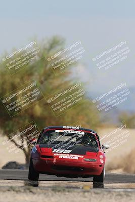 media/Oct-12-2025-Lucky Dog Racing (Sun) [[8adb5568ea]]/3-Third    Stint/4-Turn 4 (Tree of Life)/